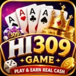 HI309 Game